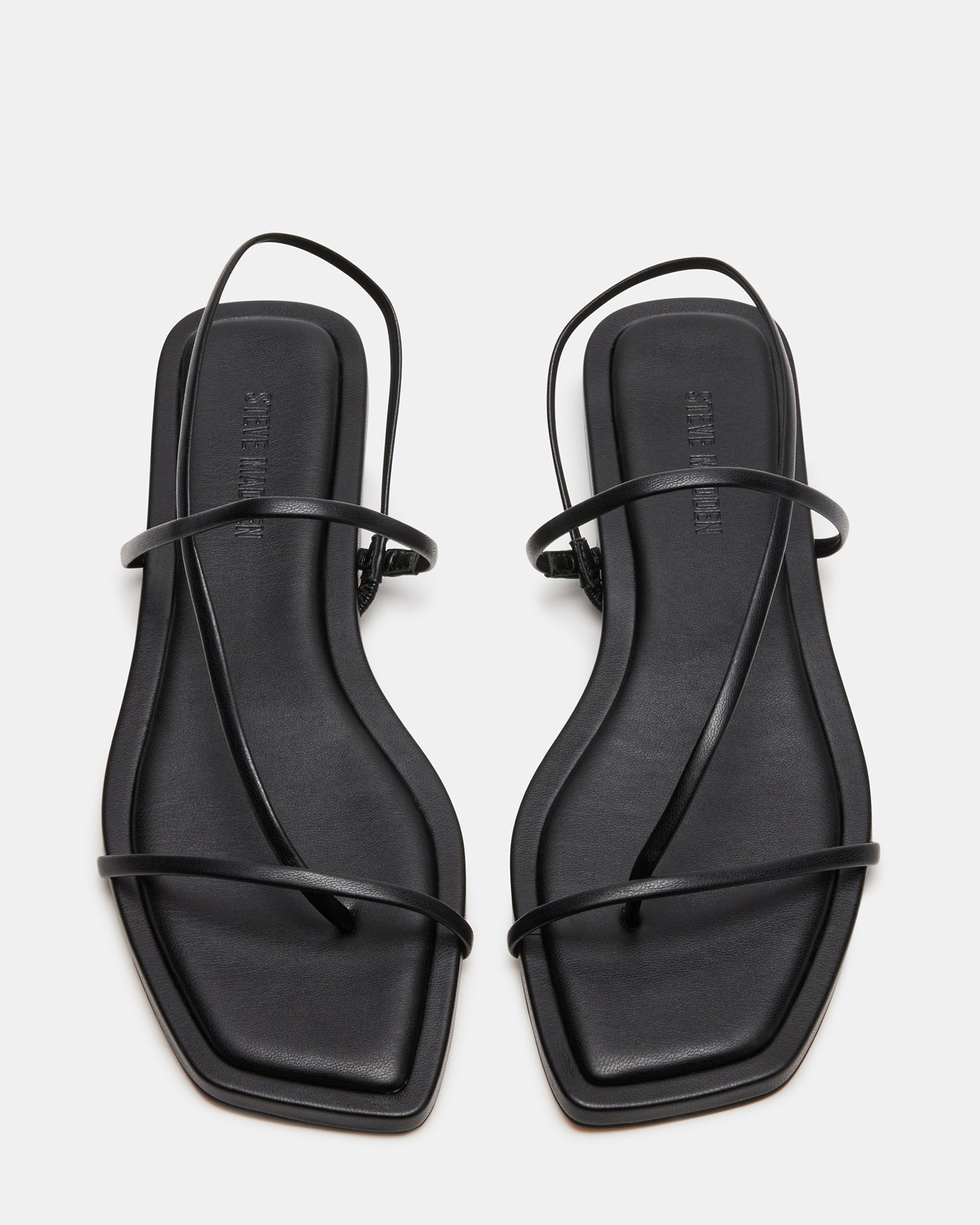 LYNLEY BLACK - SM REBOOTED