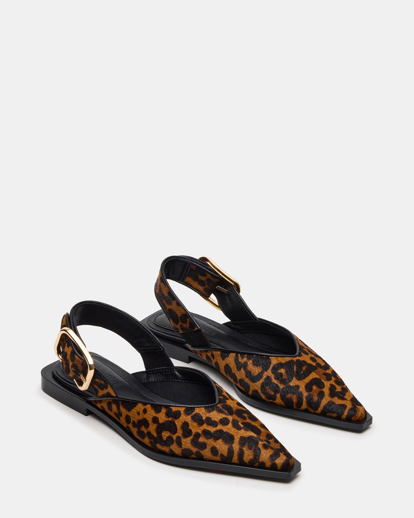 SHAY LEOPARD